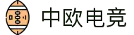 中欧电竞-官方电竞行业引领者